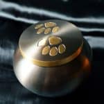 How Do You Choose the Right Pet Cremation Equipment?